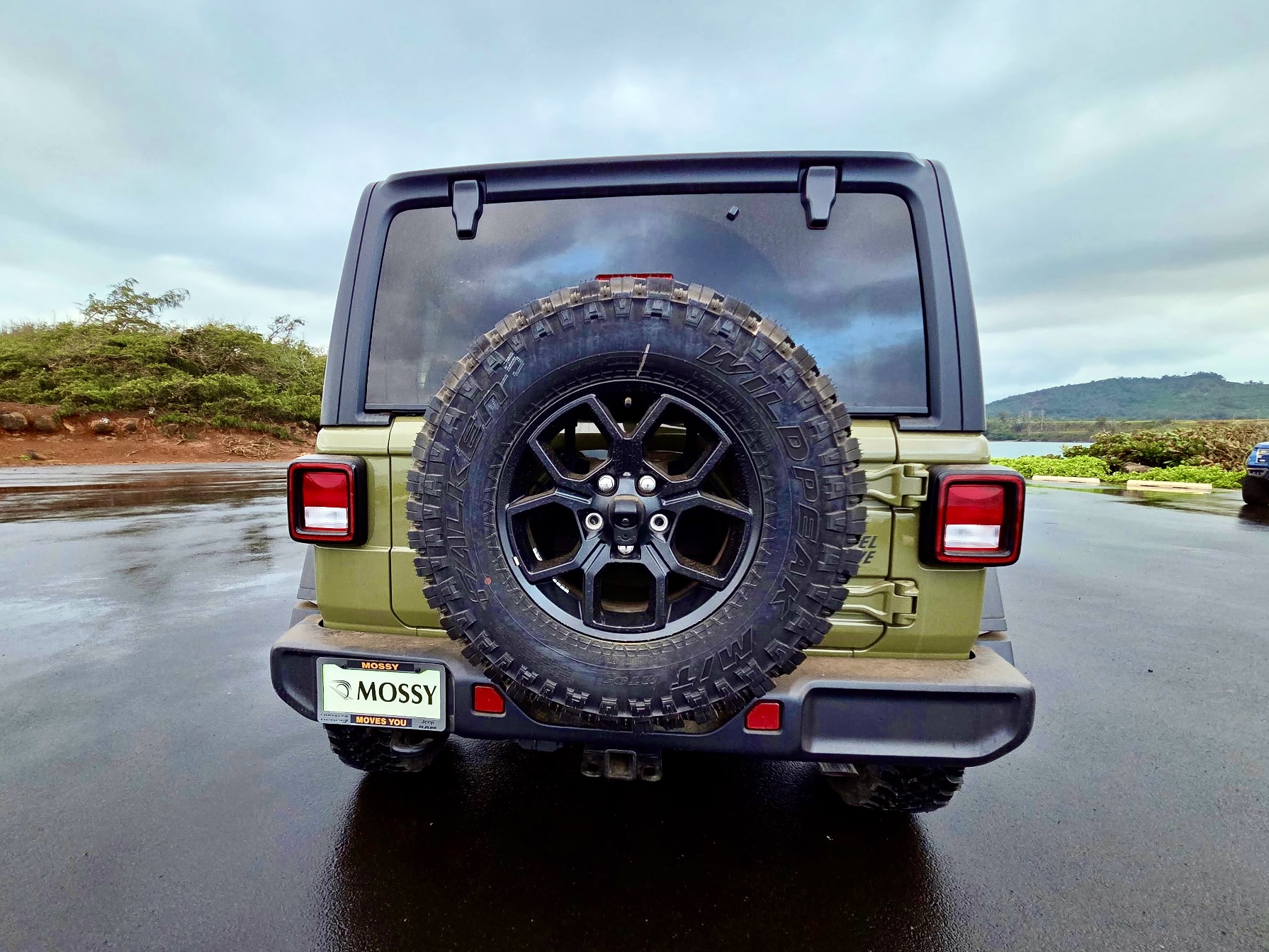 4dr Wrangler Willy’s Hard Top