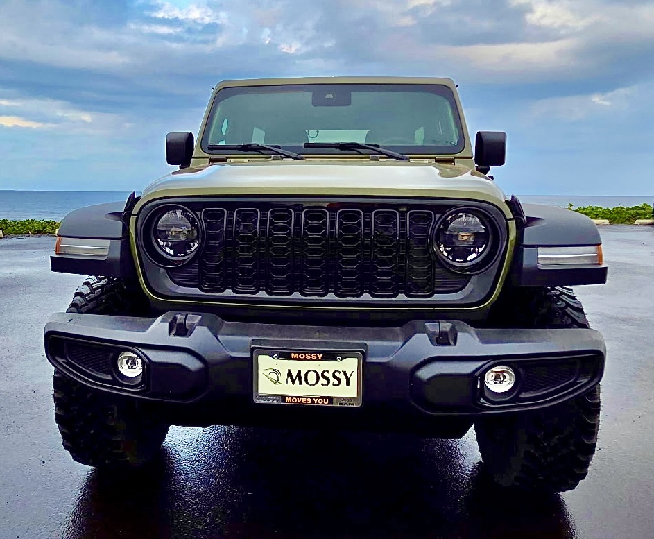 4dr Wrangler Willy’s Hard Top